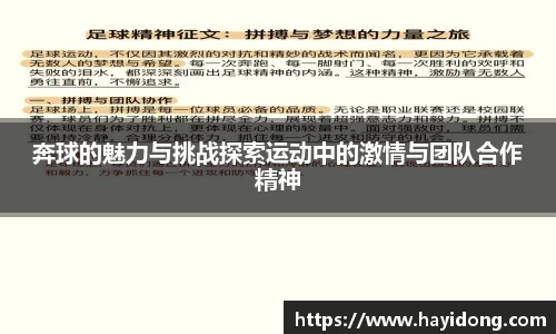 奔球的魅力与挑战探索运动中的激情与团队合作精神