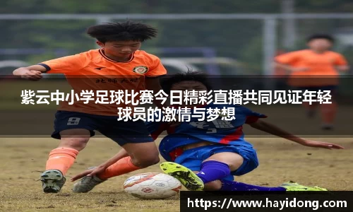 紫云中小学足球比赛今日精彩直播共同见证年轻球员的激情与梦想